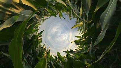 Implementing the circular economy in large enterprises