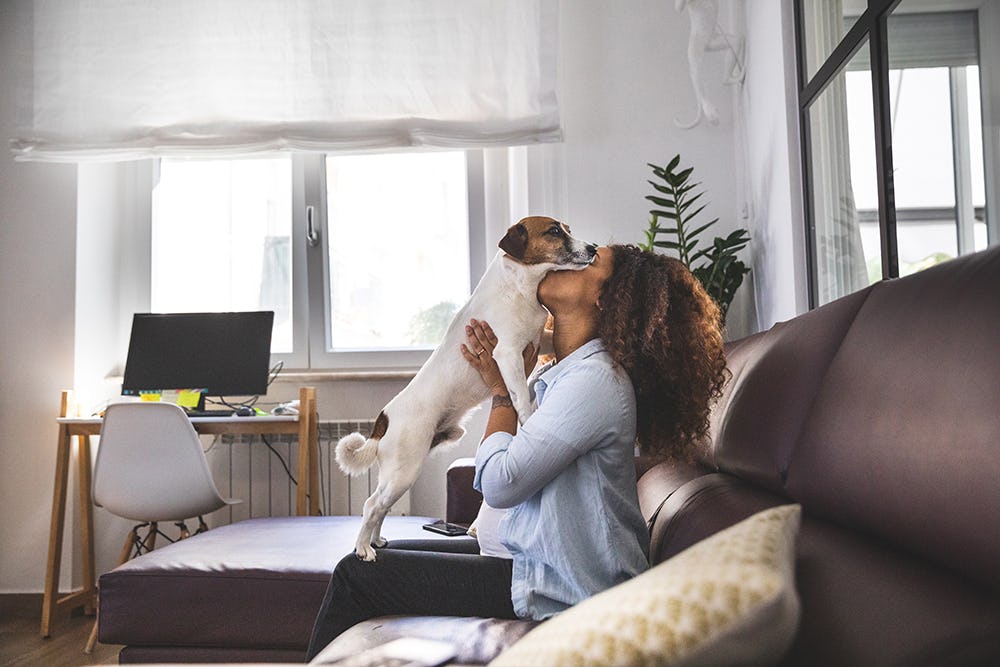 The OVO Way of Working