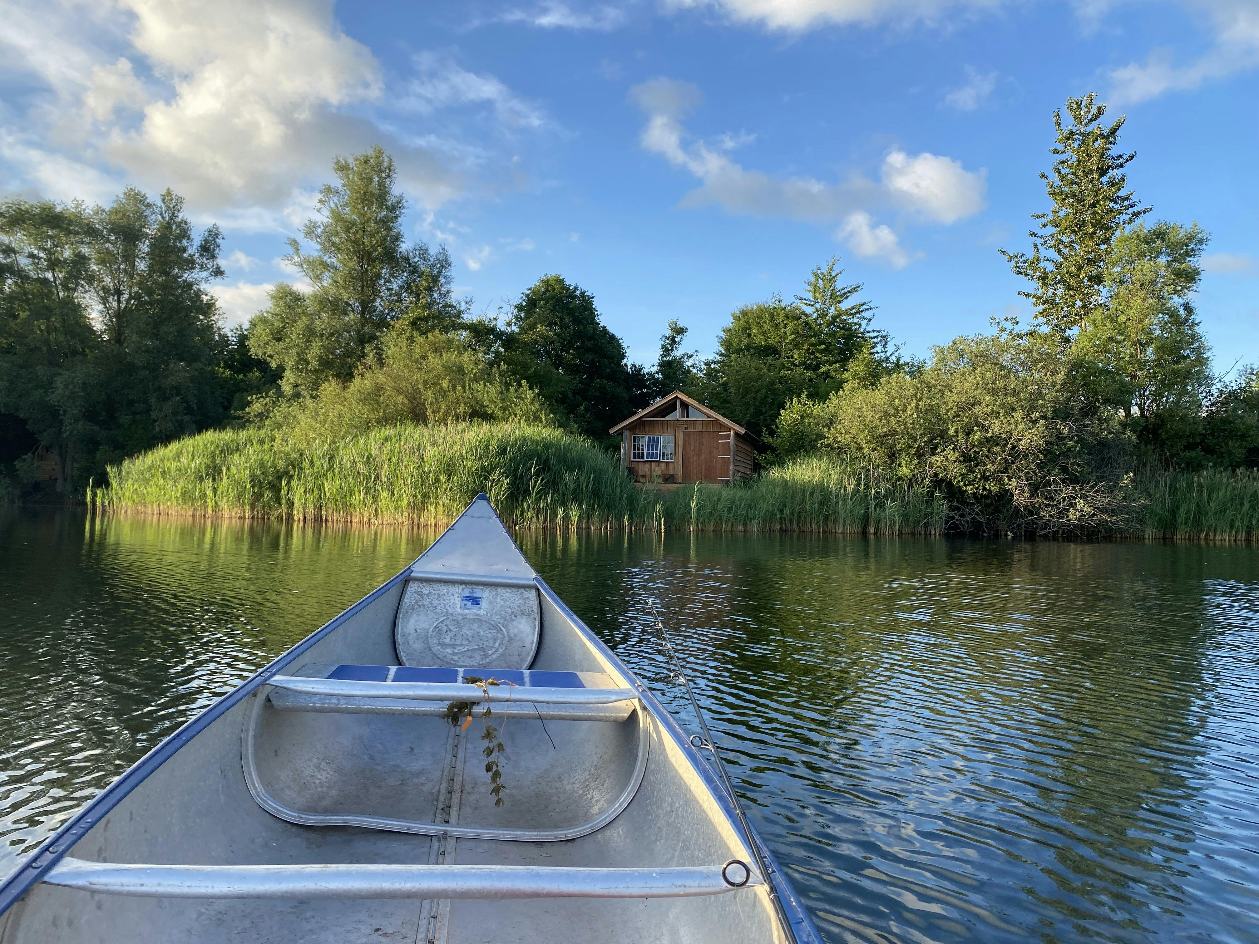 Fiskeørnen hos Naturlig på Korsgaarden