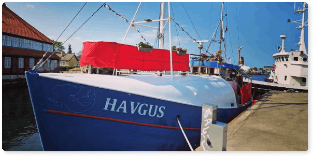 Saunagus hos Havgus i København