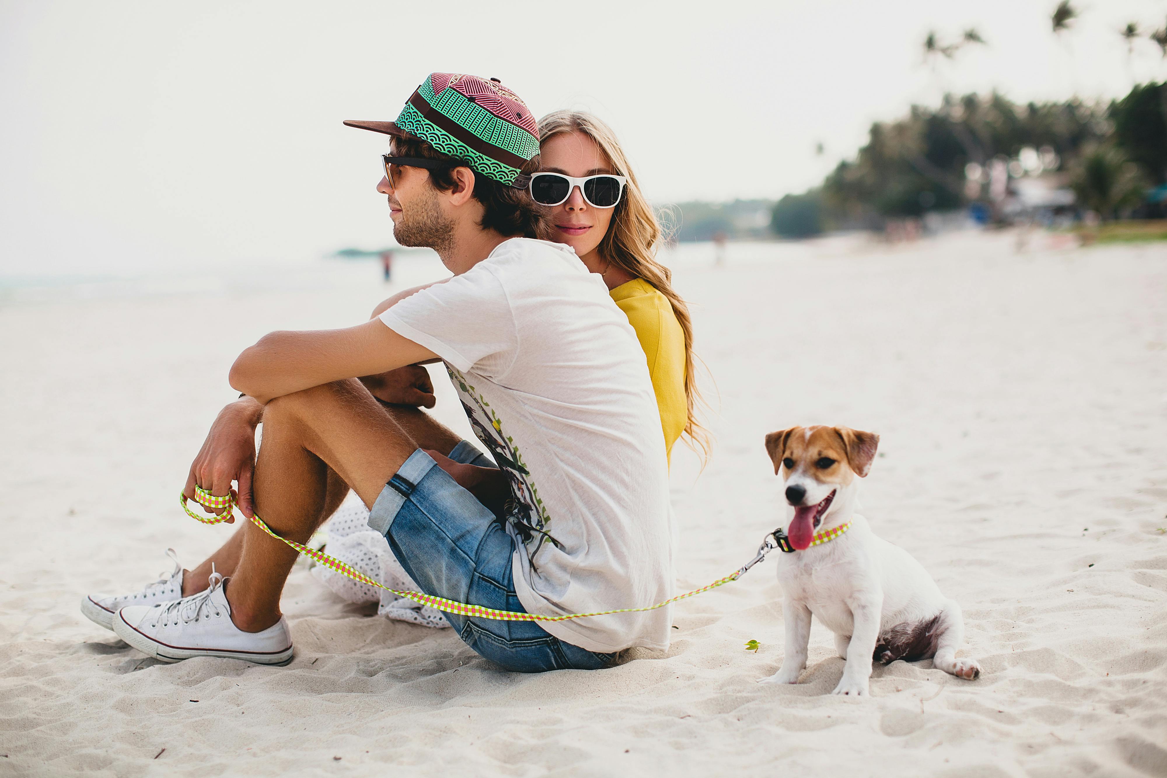 aktivitet en kop Fru Tag hunden med på ferie | Se vores muligheder | Owayy
