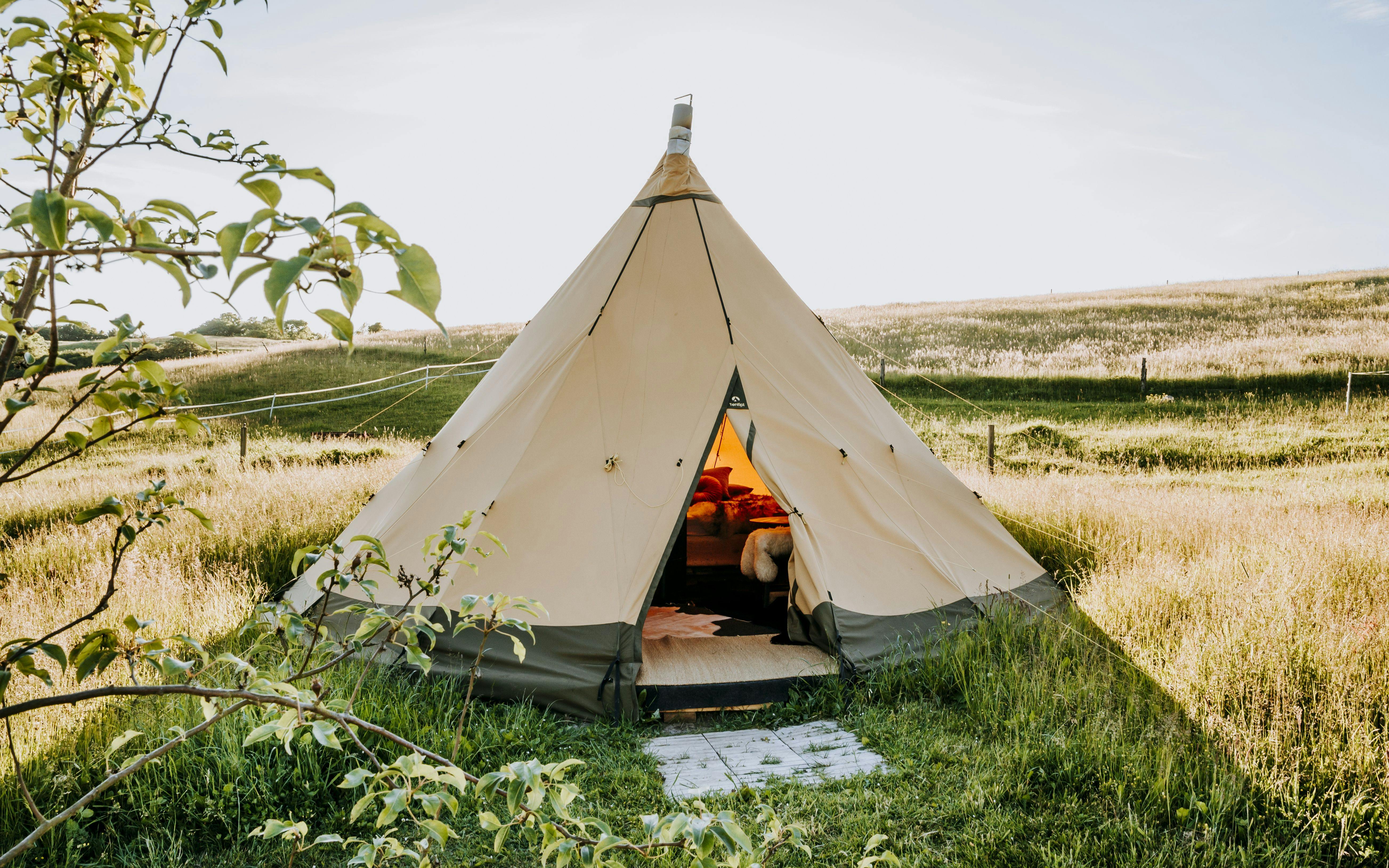 Ett samiskt tält placeras i danmarks natur