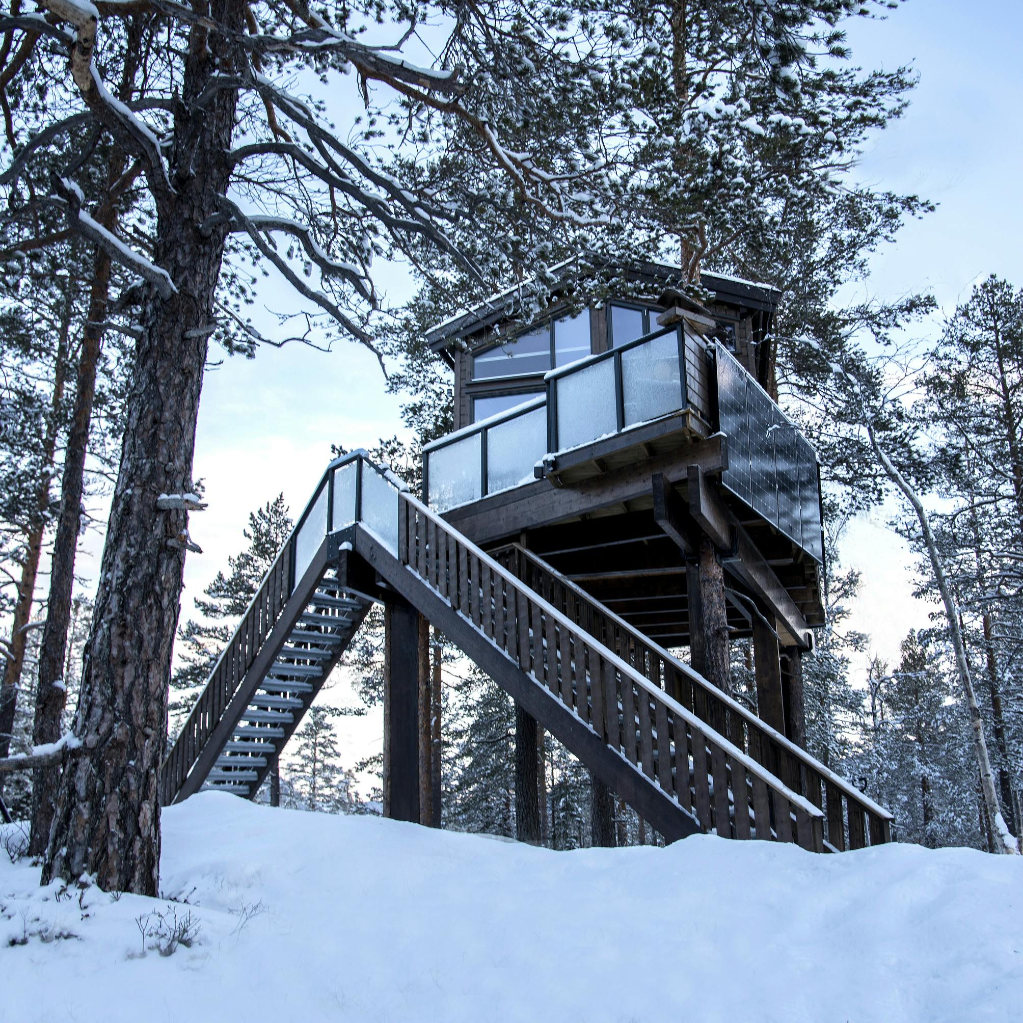 tretopphytte i snøen
