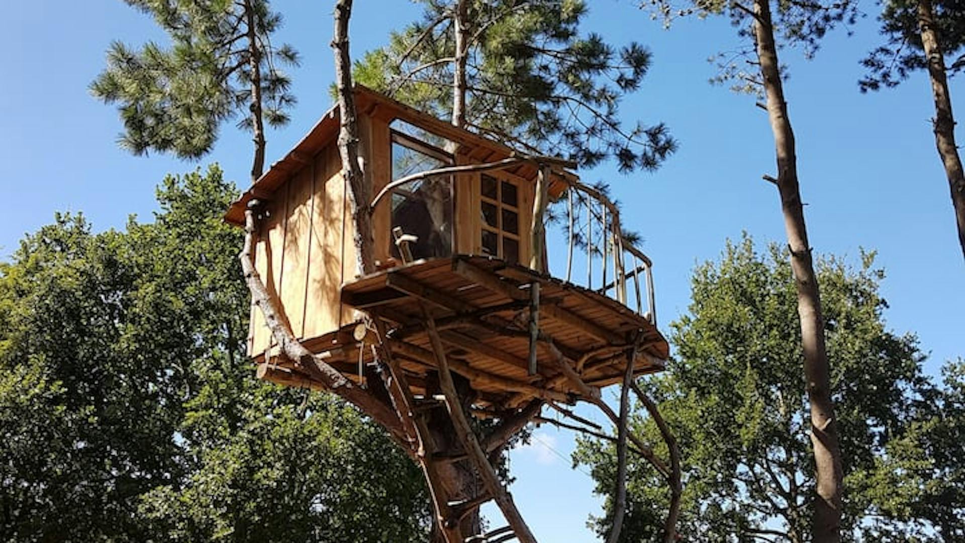 Artistic Treehouse