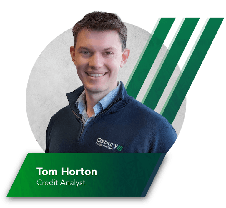 Meet the team – Introducing Credit Analyst, Tom Horton 