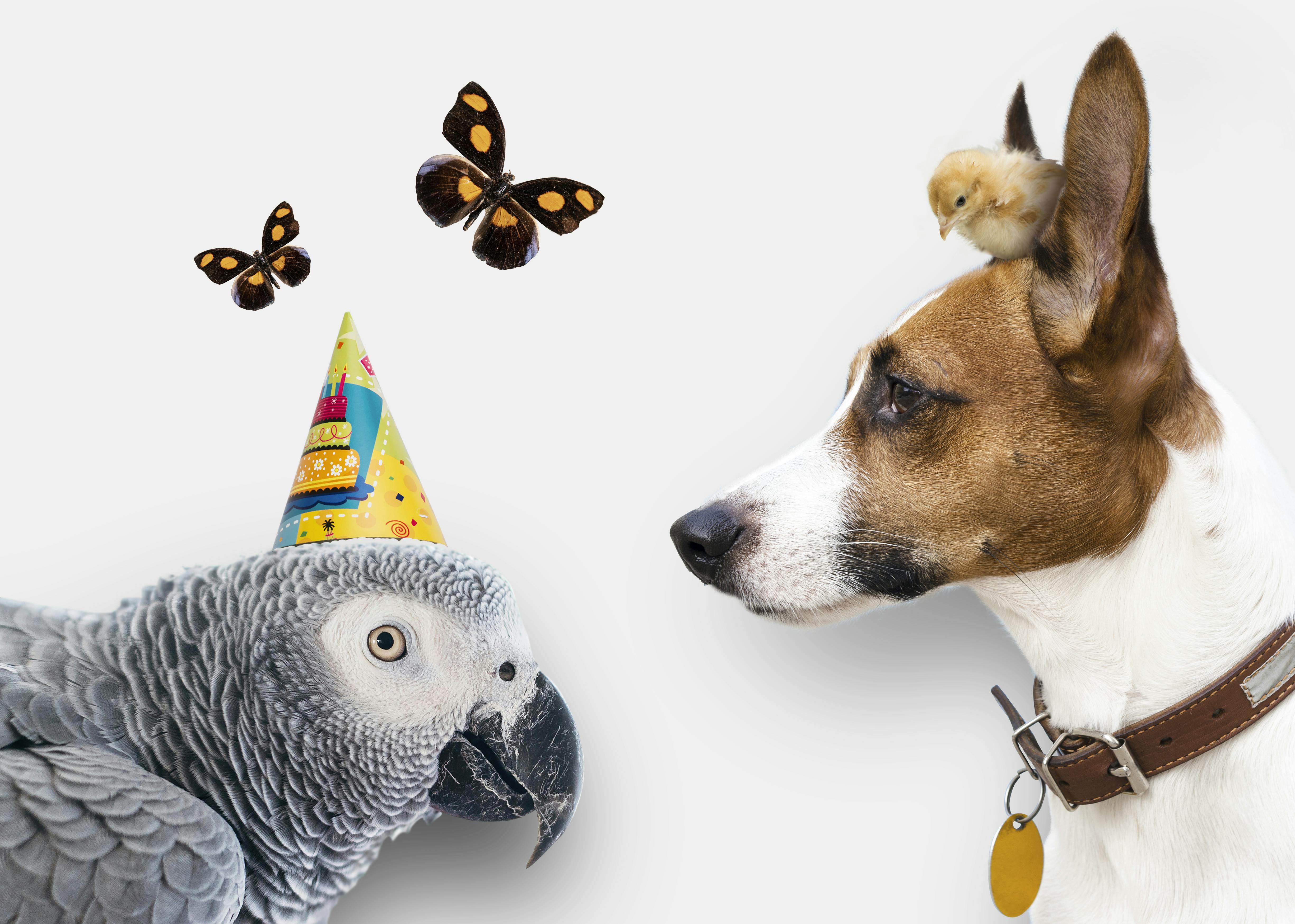 Qu’est-ce que la culture d’entreprise ?