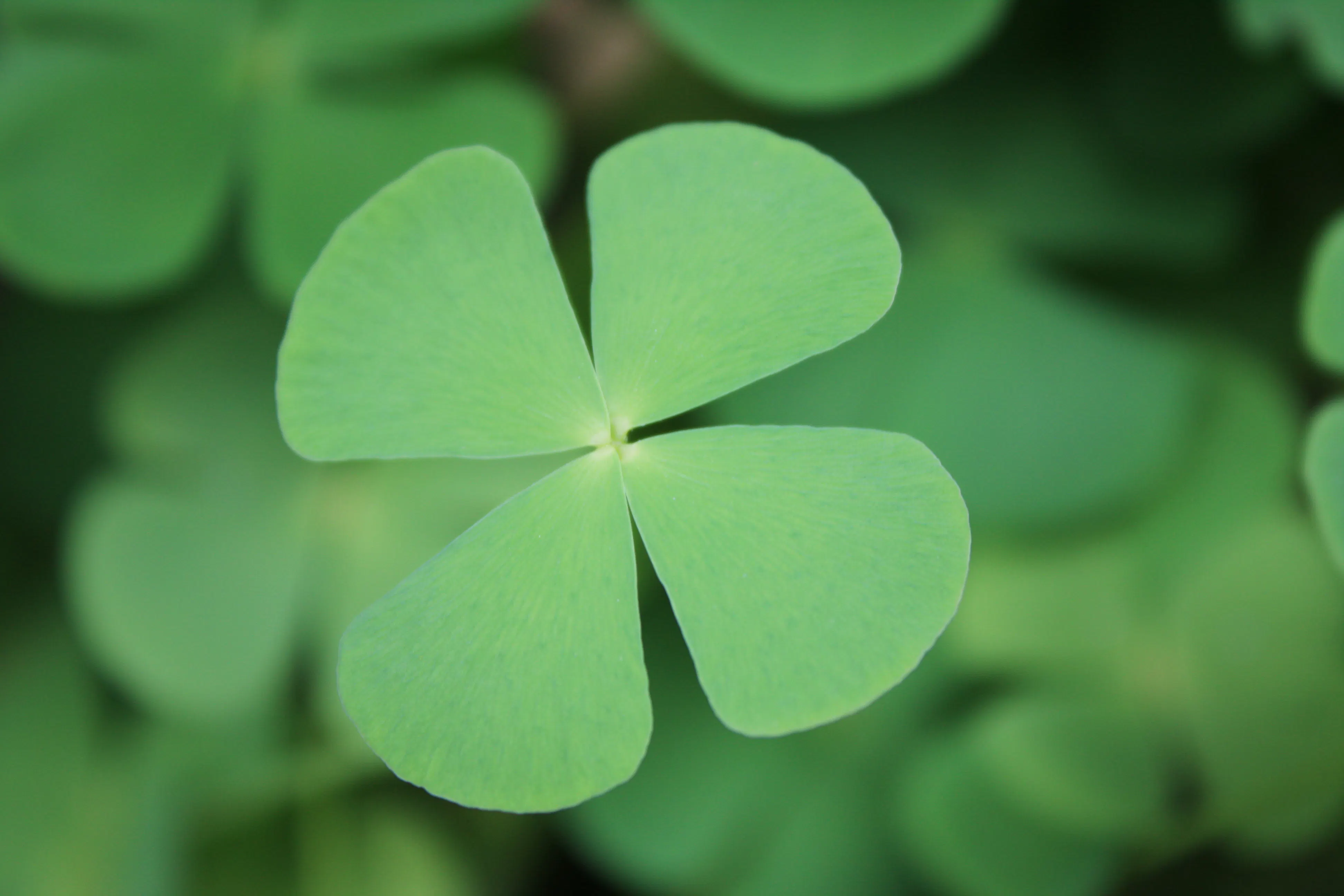 Le Burn-out : Bien plus qu'une crise