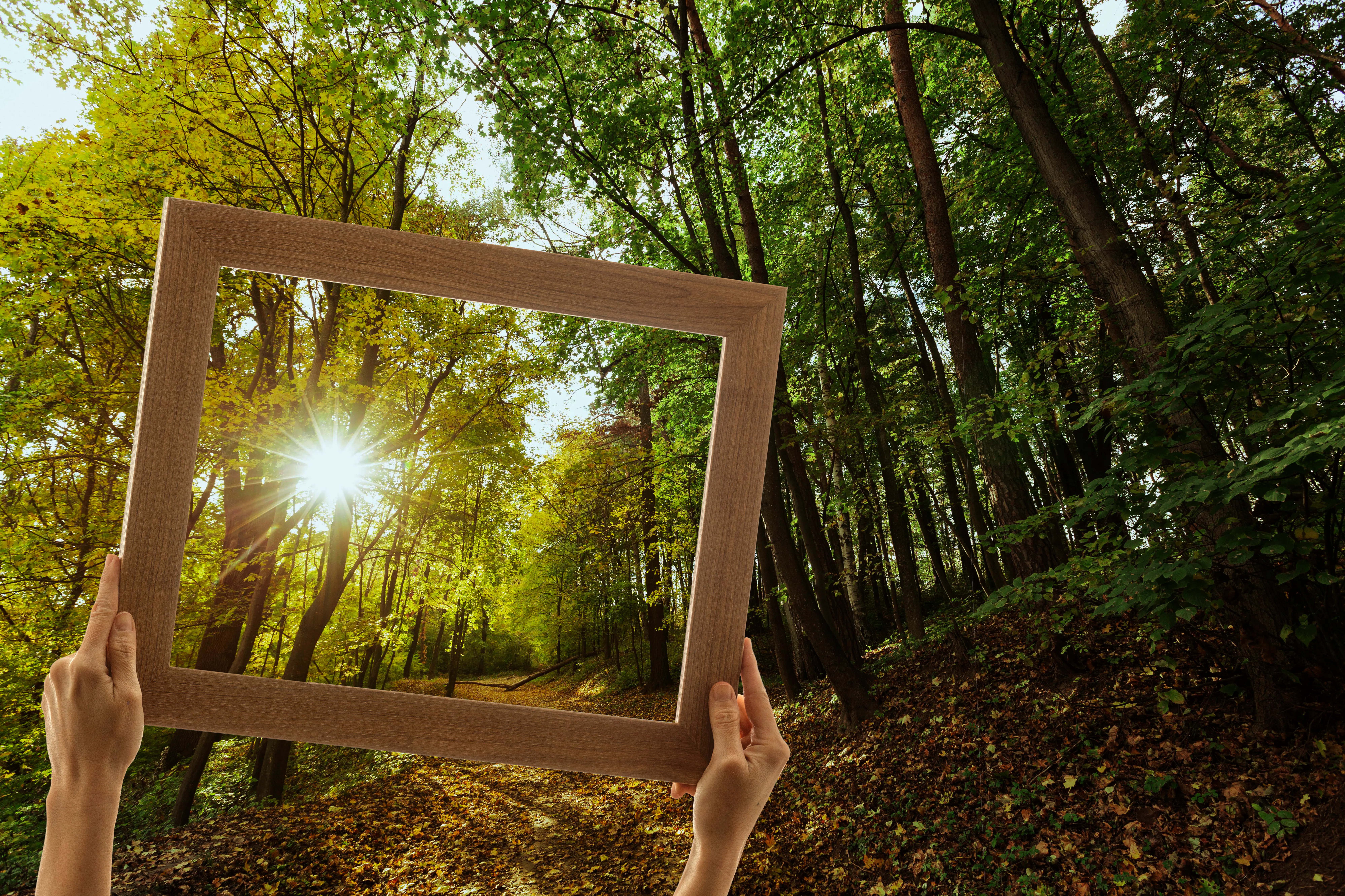 Confiance en équipe : Radical Candor et BRAVING