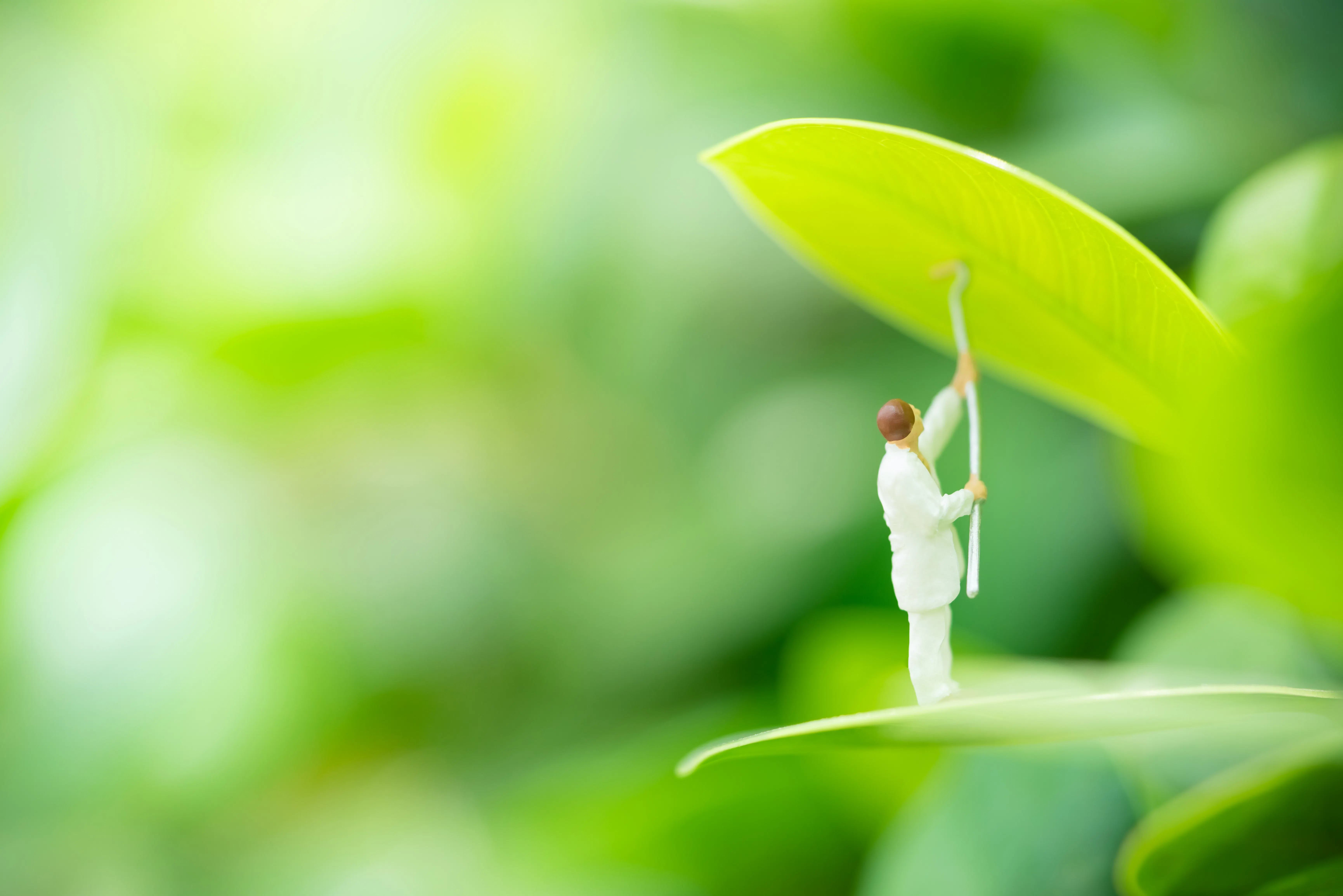 Check-up santé de votre équipe