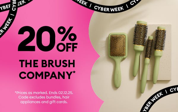 THE BRUSH COMPANY