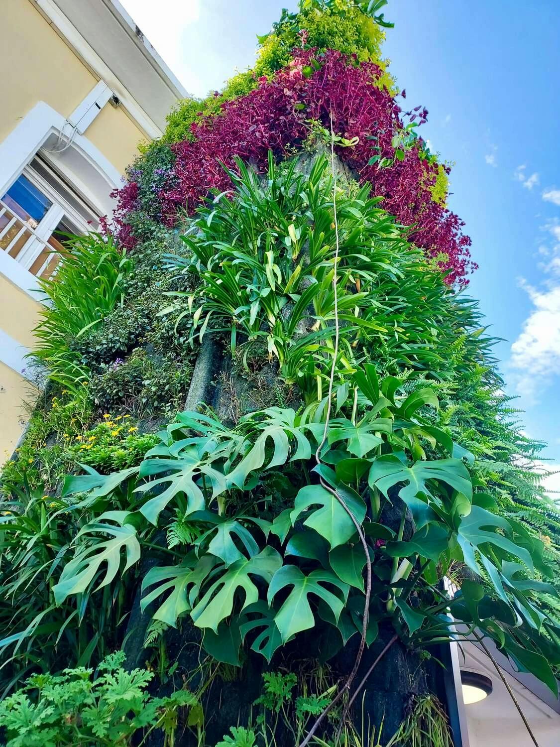 Vue en contre-plongée d'un mur végétal tropical, avec des plantes aux nuances de vert et de fuchsia, ornant une tour ascenseur.