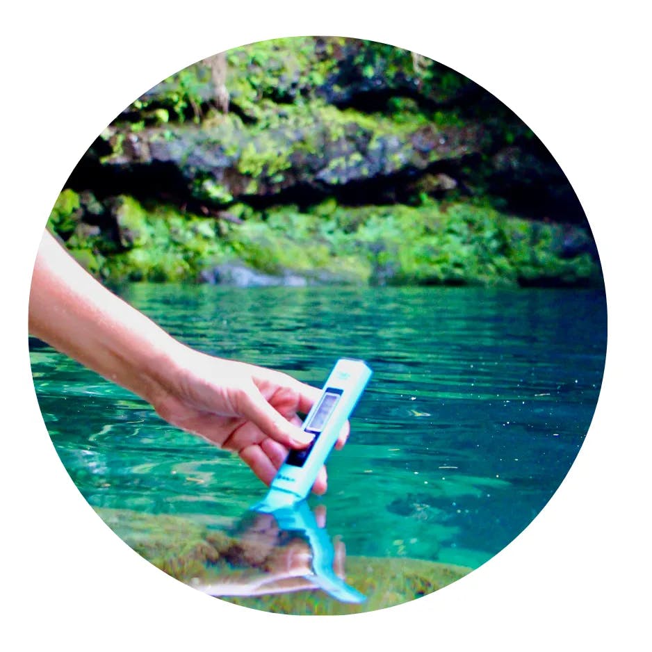 A hand holding an electroconductivity meter, submerged in the water of a natural pool located in the mountains of La Réunion, surrounded by vegetation.