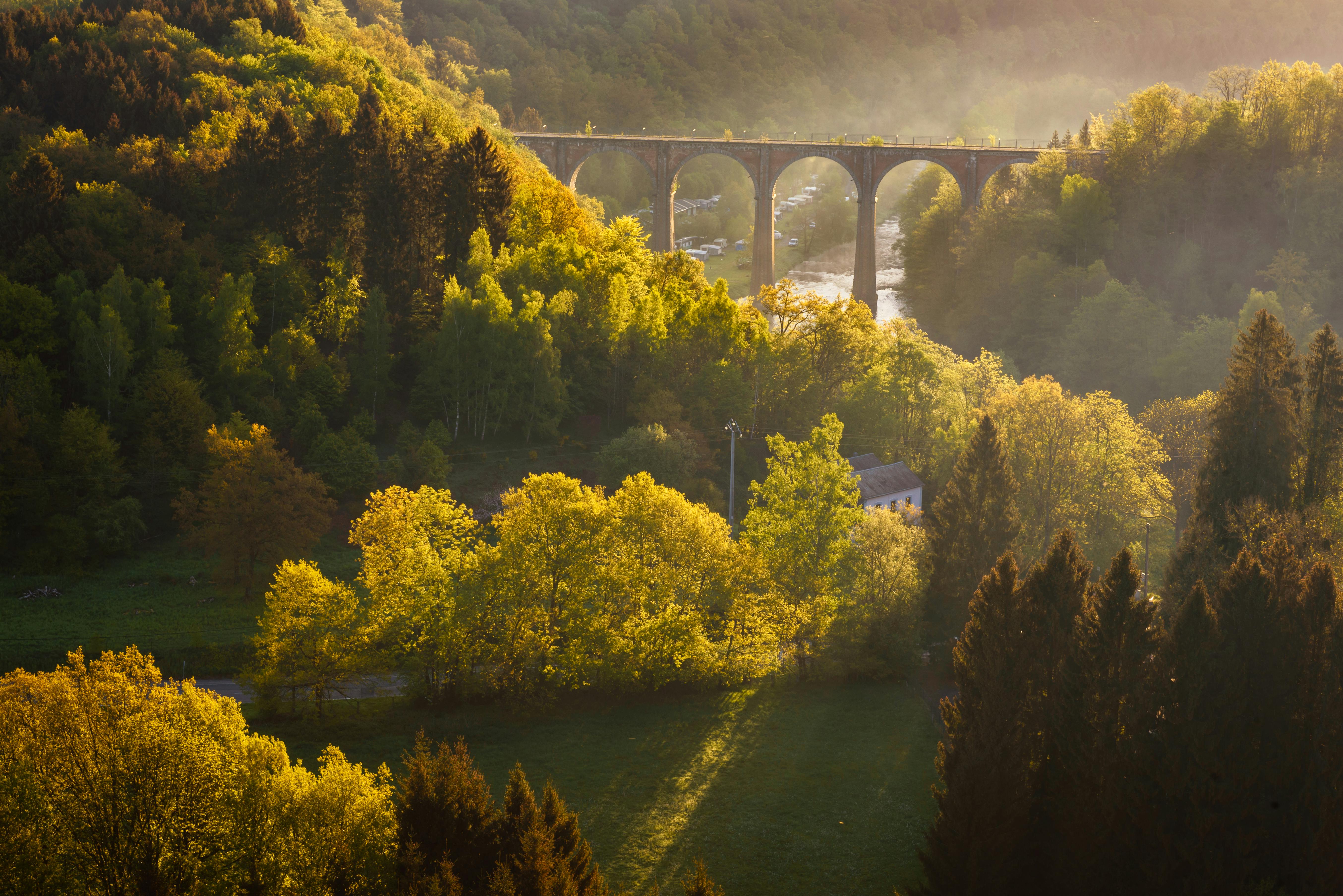 Sunrise in countryside and forest near Herbeumont with wonderful viaduc of Hebeumont Viaduc of Conques across Semois river.