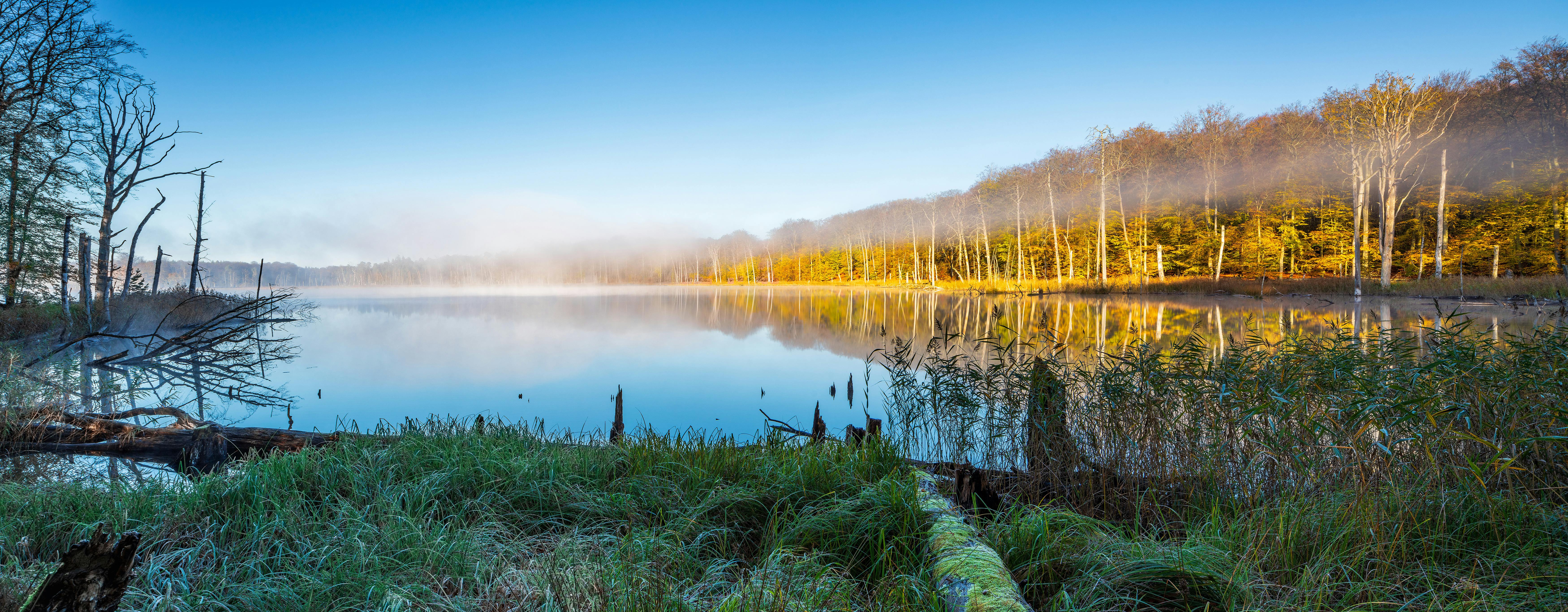 Small Calm lake with morning fog under blue sky in Autumn, Muritz National Park, Germany