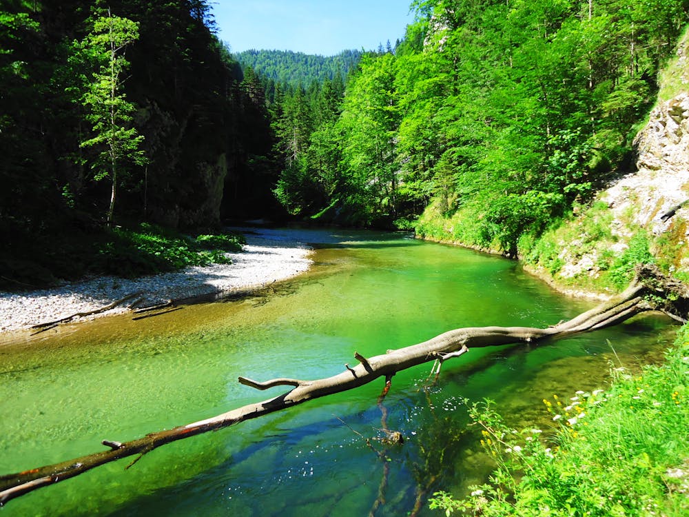 Paddeln und Trekking entlang der Salza.