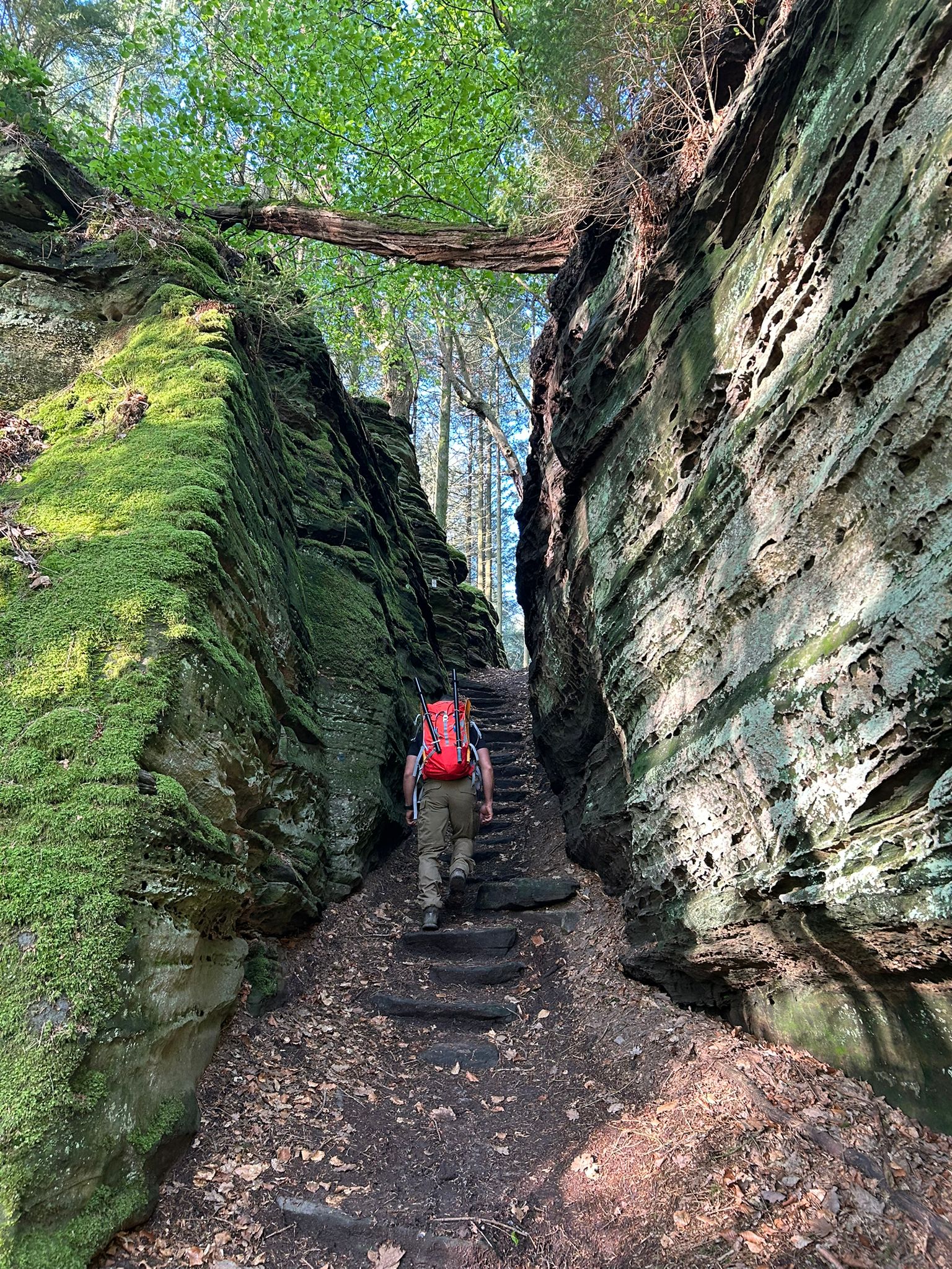 2-daags packraft avontuur in het Müllerthal in Luxemburg.