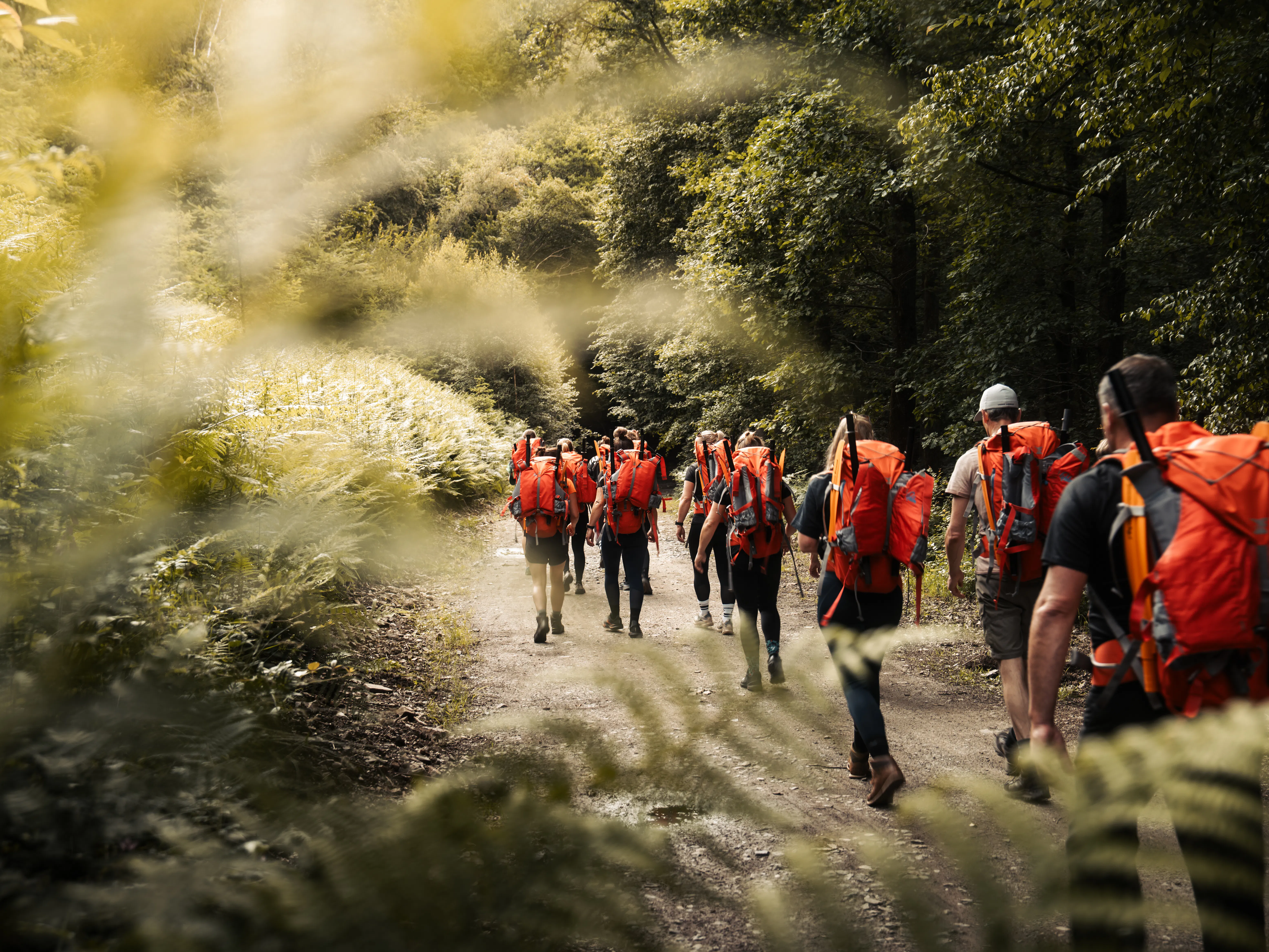 Hiking in de Belgische Ardennen