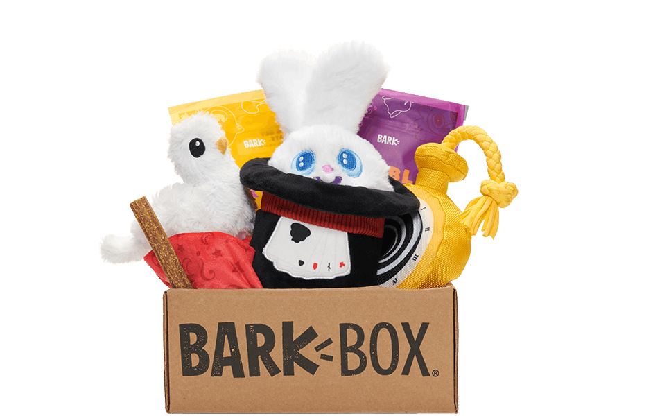 The Great Barkini's Magnificent Magic Box themed BarkBox