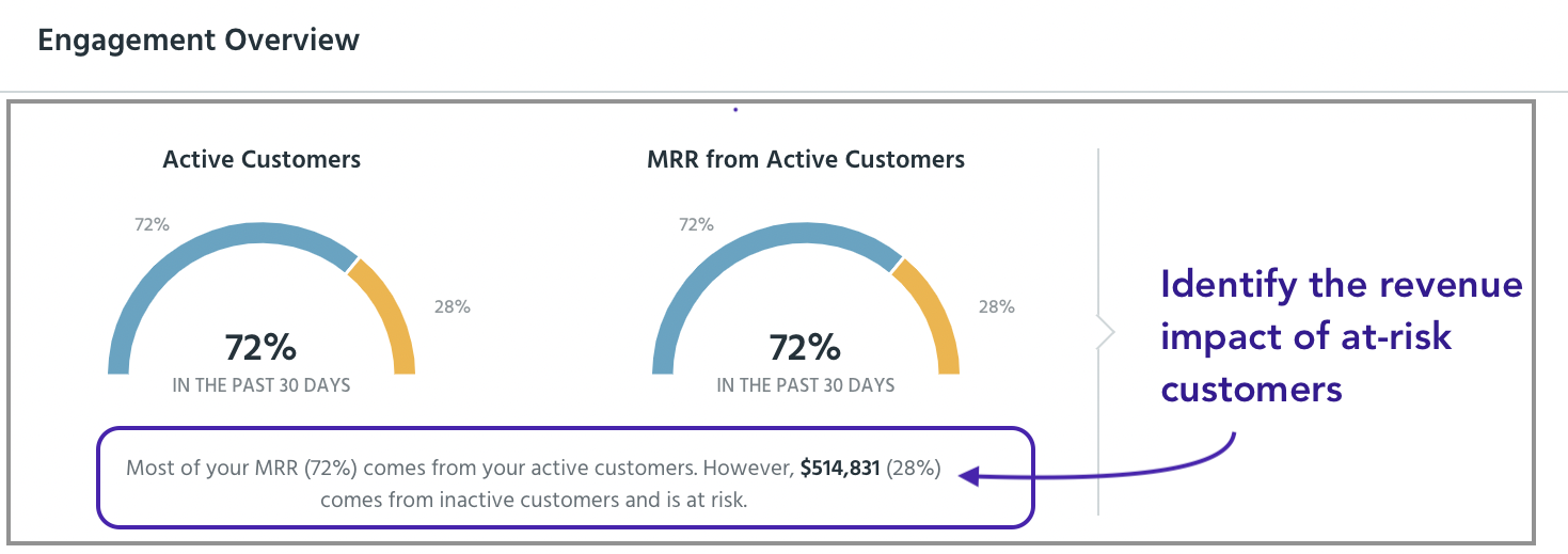 Engagement overview from ProfitWell Metrics showing the revenue impact of at-risk customers
