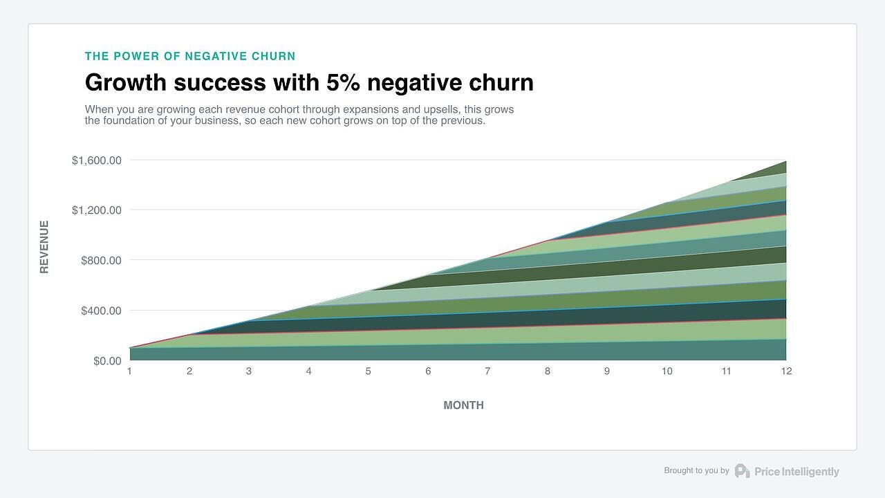 growth-success-with-negative-churn
