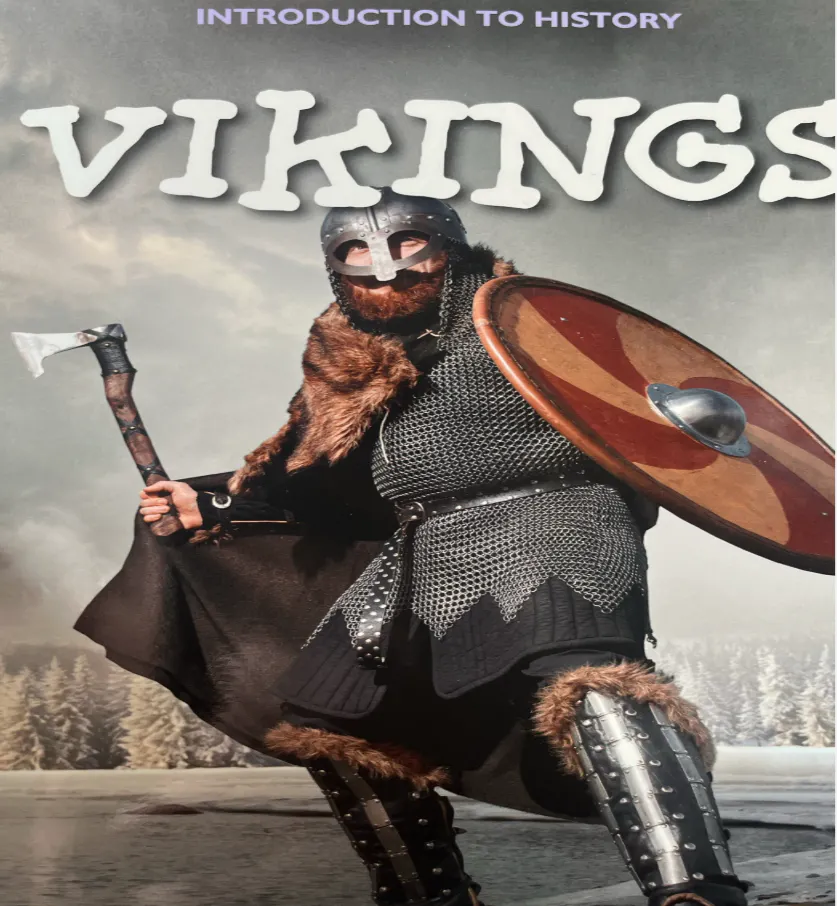 Cover of Introduction To History Vikings
