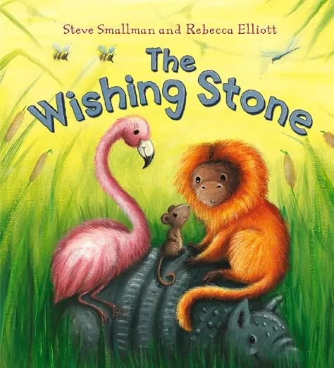 Cover of The Wishing Stone