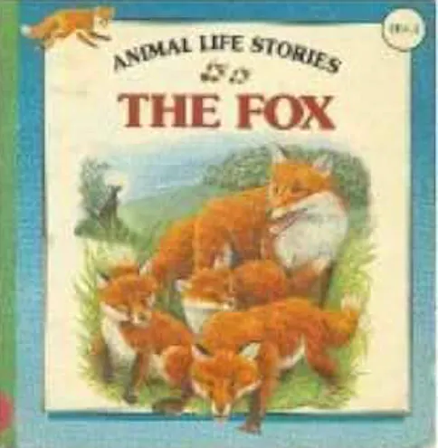 The Fox