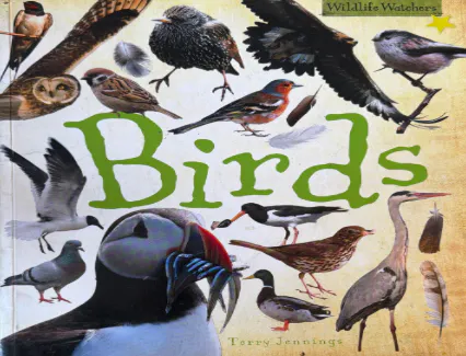 Cover of Birds