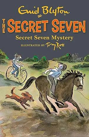 Secret Seven Mystery