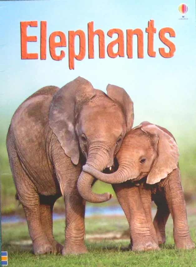 Cover of Elephants