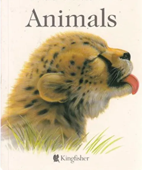 Cover of All about wild animals