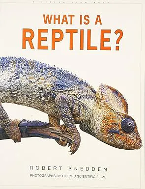 What is a Reptile?