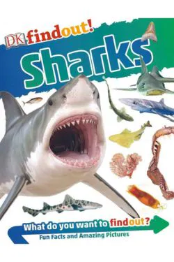 Findout! Sharks
