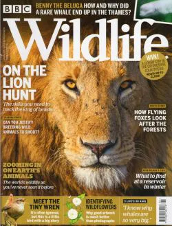 BBC Wildlife Magazine