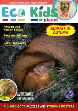 Cover of Eco Kids Planet Magazine