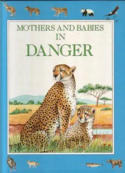 Cover of Mothers and Babies in Danger