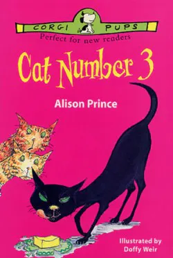 Cat number 3