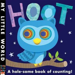 Hoot: A hole-some book of counting