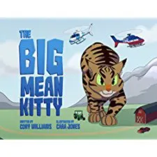 The Big Mean Kitty