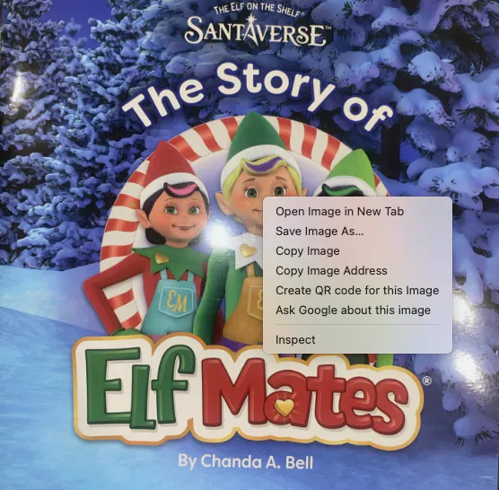The Story of Elf Mates