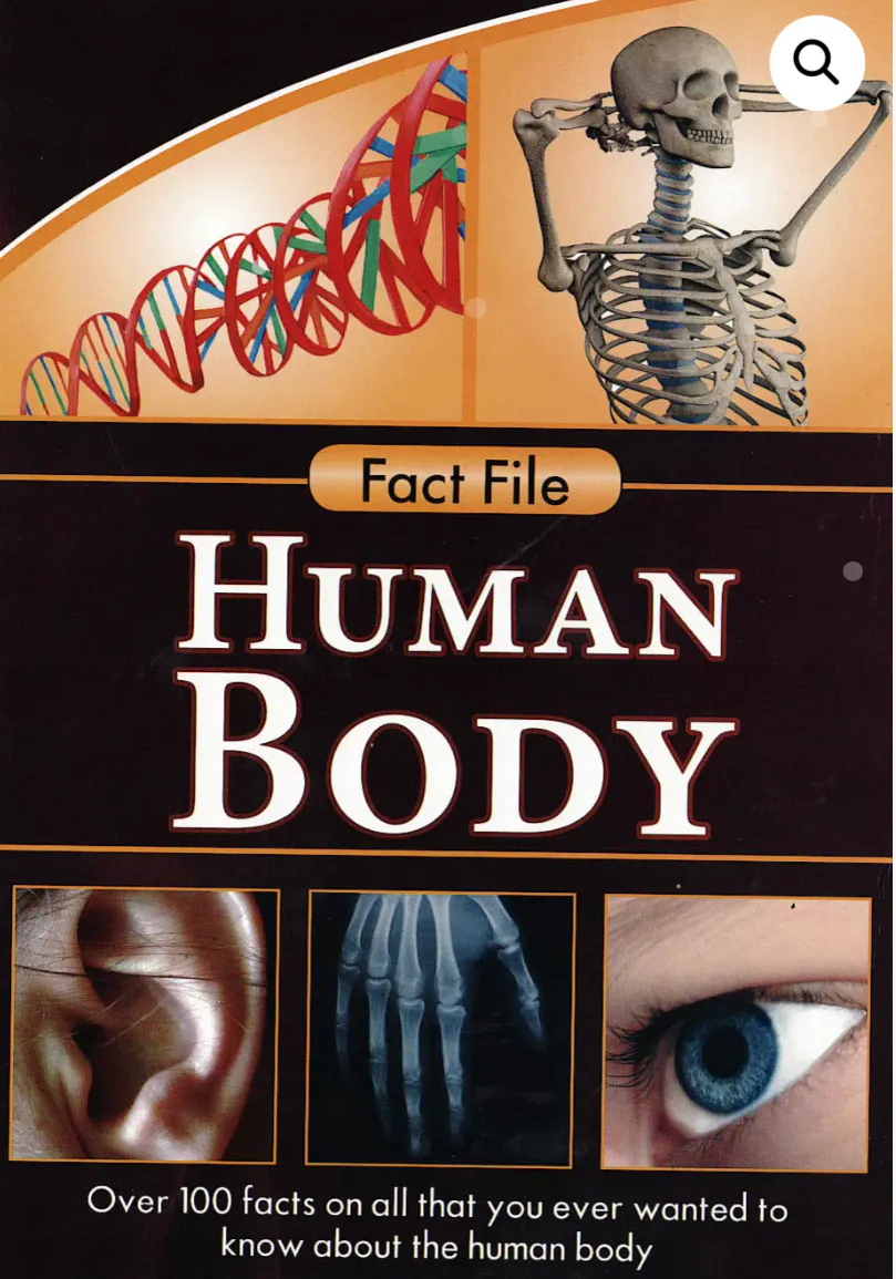 Fact File Human Body