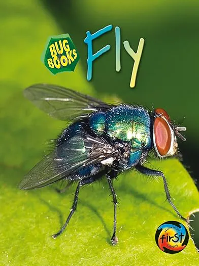 Bug Books: Fly