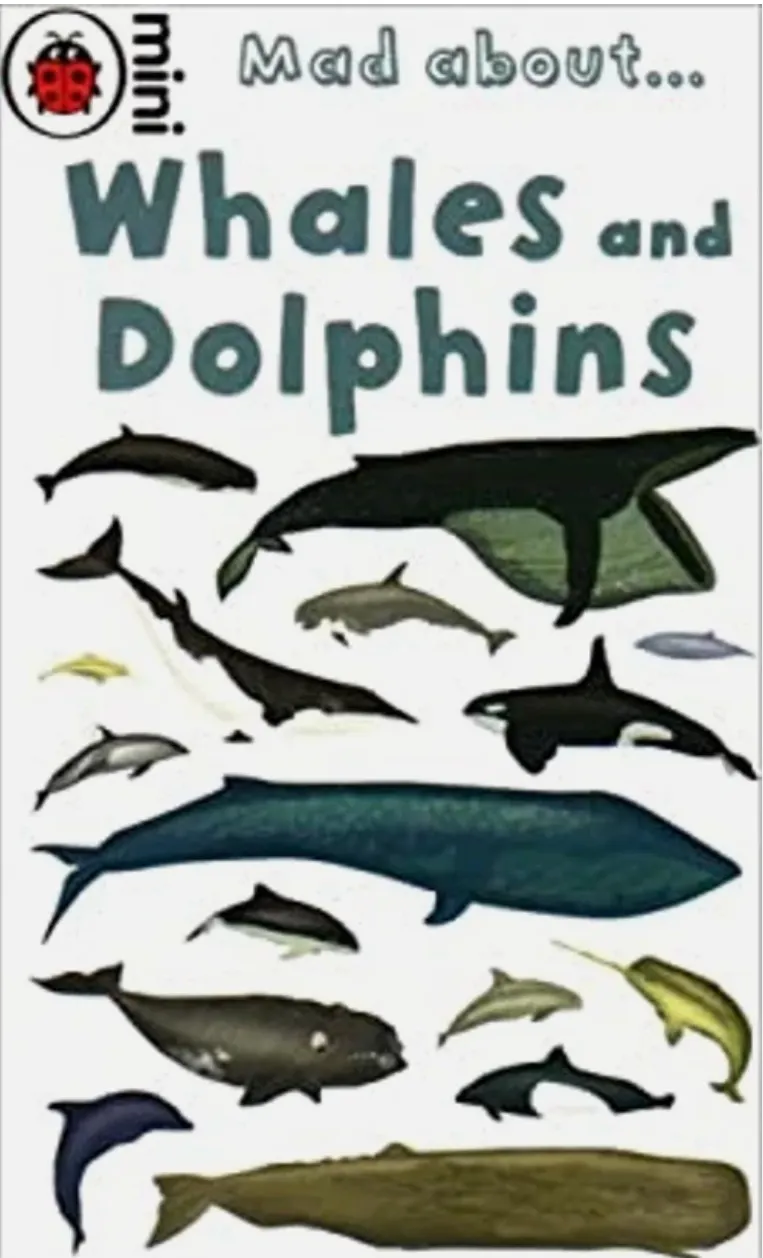 Mad about Whales and Dolphins