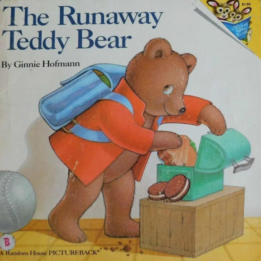 The Runaway Teddy Bear