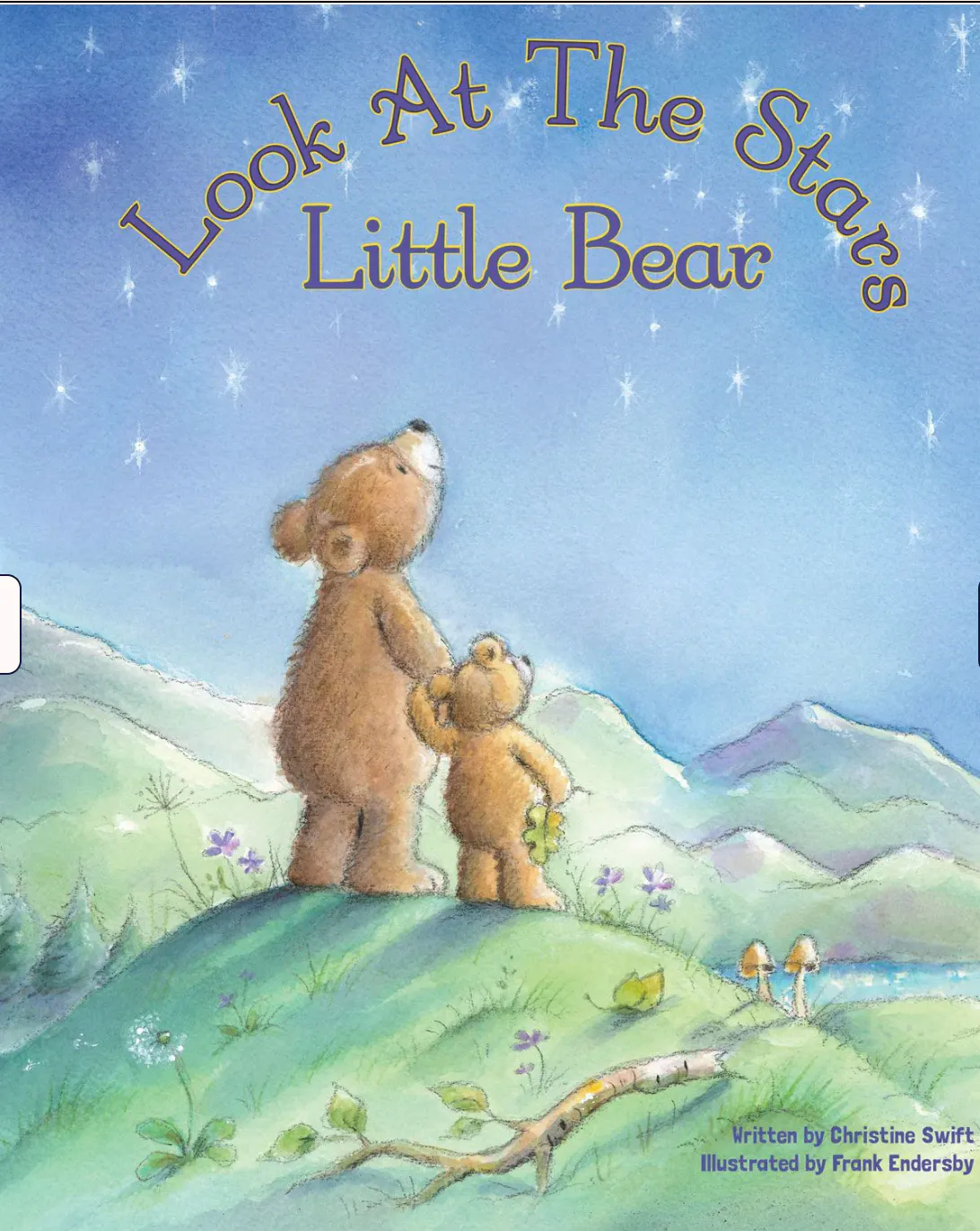 Look At The Stars Little Bear