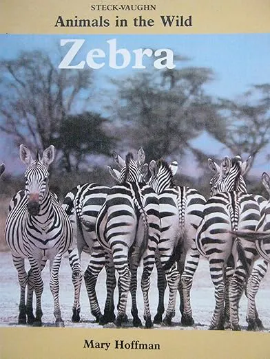 Animals in The Wild Zebra