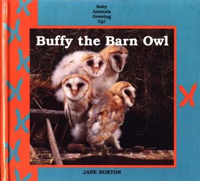 Buffy the Barn Owl