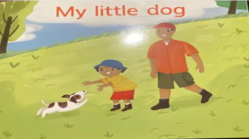 My Little Dog