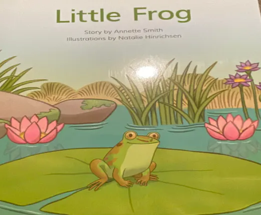 Little Frog