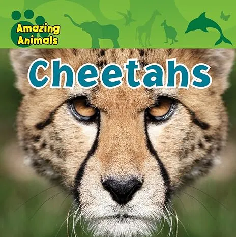 Cheetahs